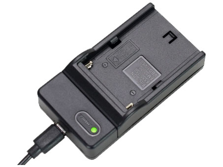 SONY DCR-DVD200E Battery Charger